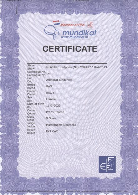 CAC_Cinderella_8_4_23_jury_Mastrangelo_Donatella.jpg