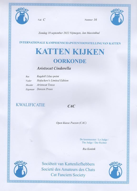 Cinderella_Oorkonde_CAC_18_9_22_Ria_Konink.jpg