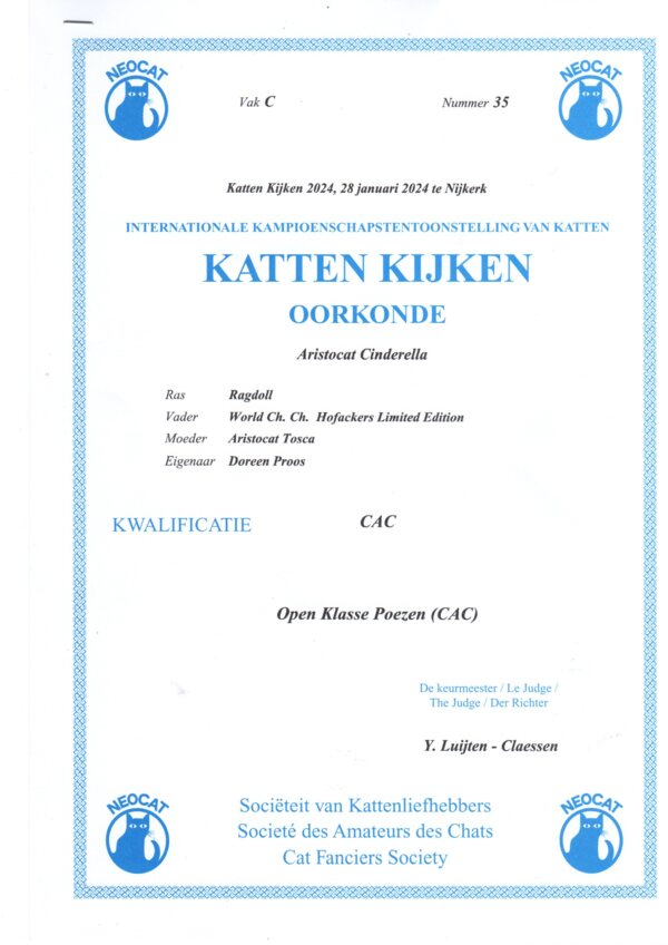 Oorkonde_CAC_Cinderella_28_1_24_Nijkerk_Yvonne_Luijten.jpg