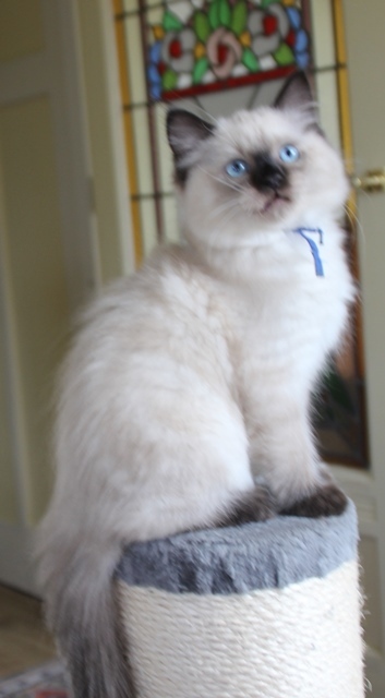 Smokey_2_9_25.JPG