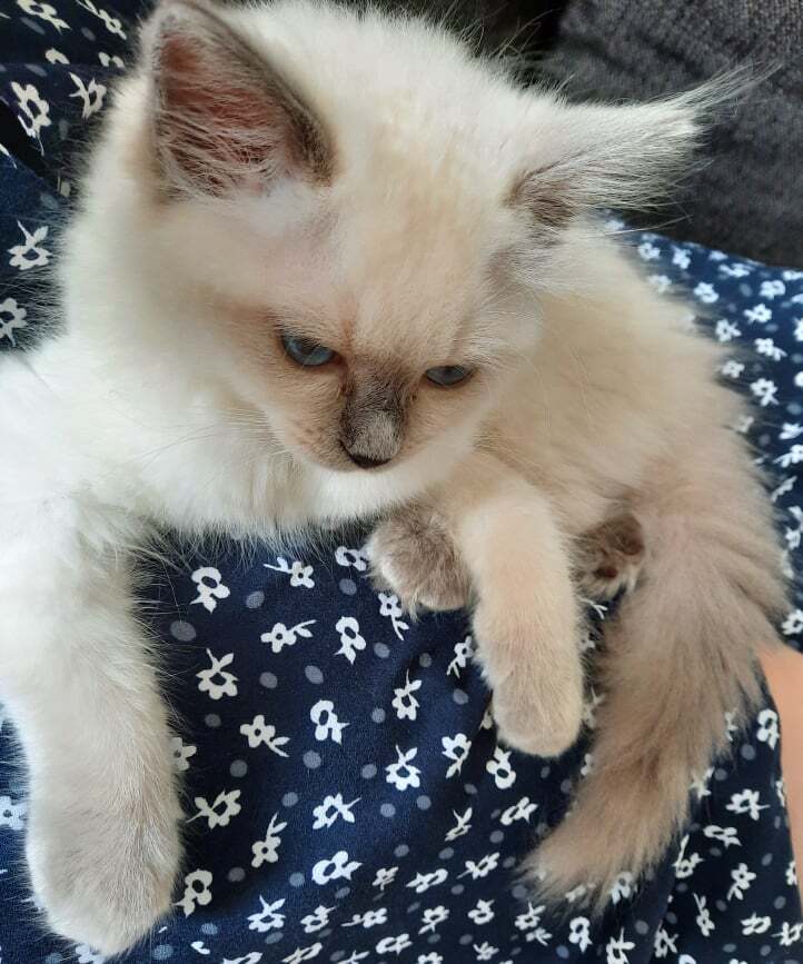 08_2021_3_.jpg 08_2021_3_.jpg