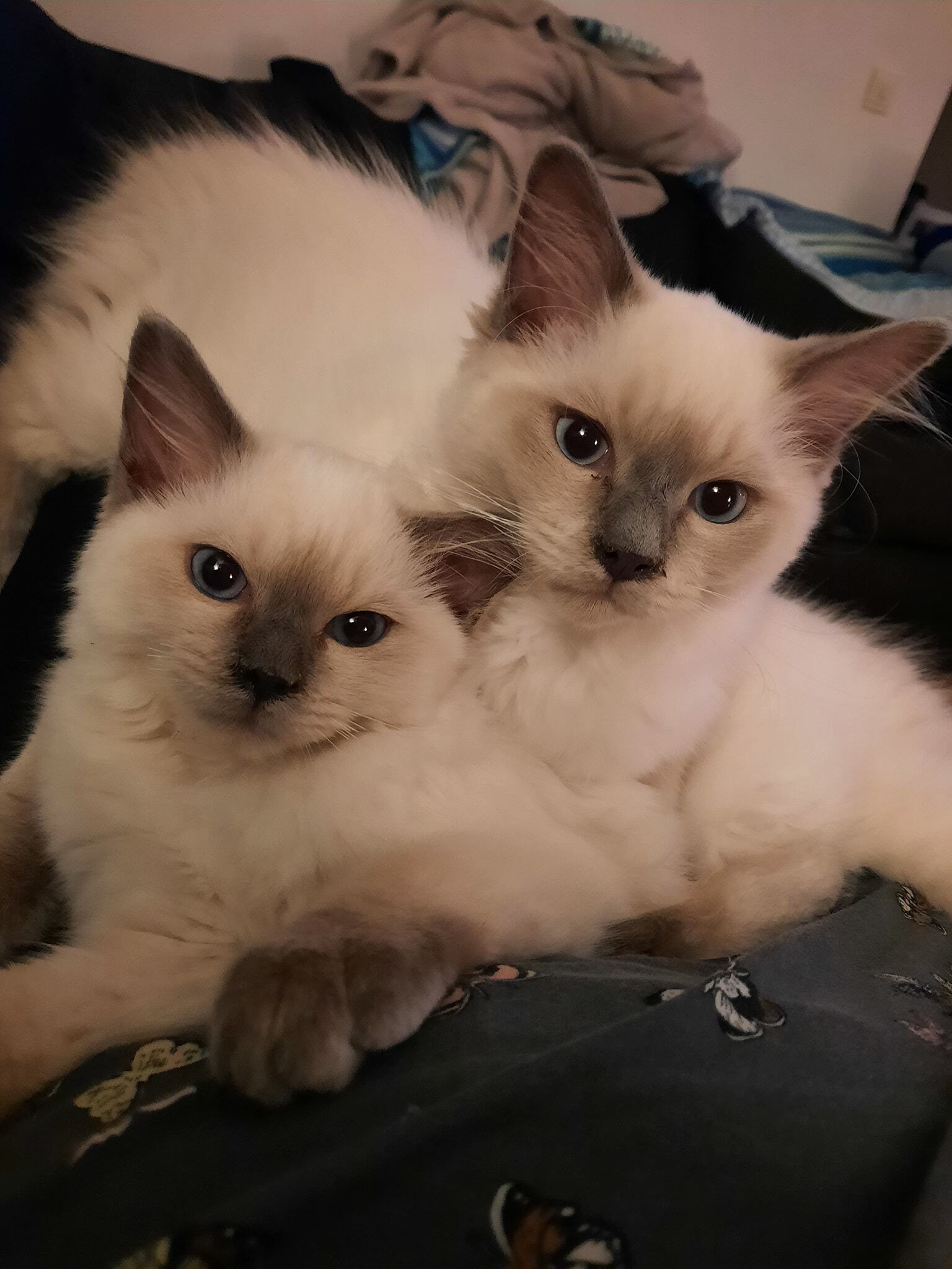 8_9_Max_en_May_kopie.jpg 8_9_Max_en_May_kopie.jpg