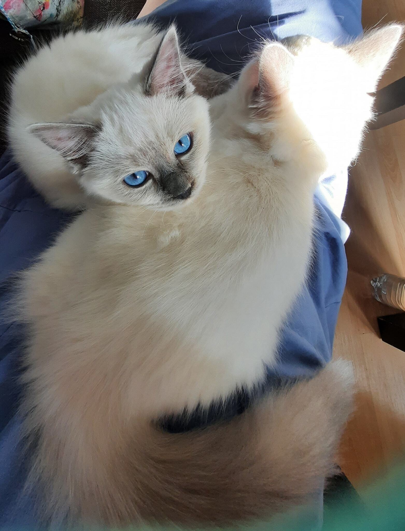 1_May_september_2021.jpg 1_May_september_2021.jpg