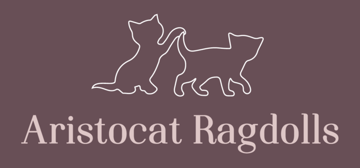 Aristocat Ragdolls
