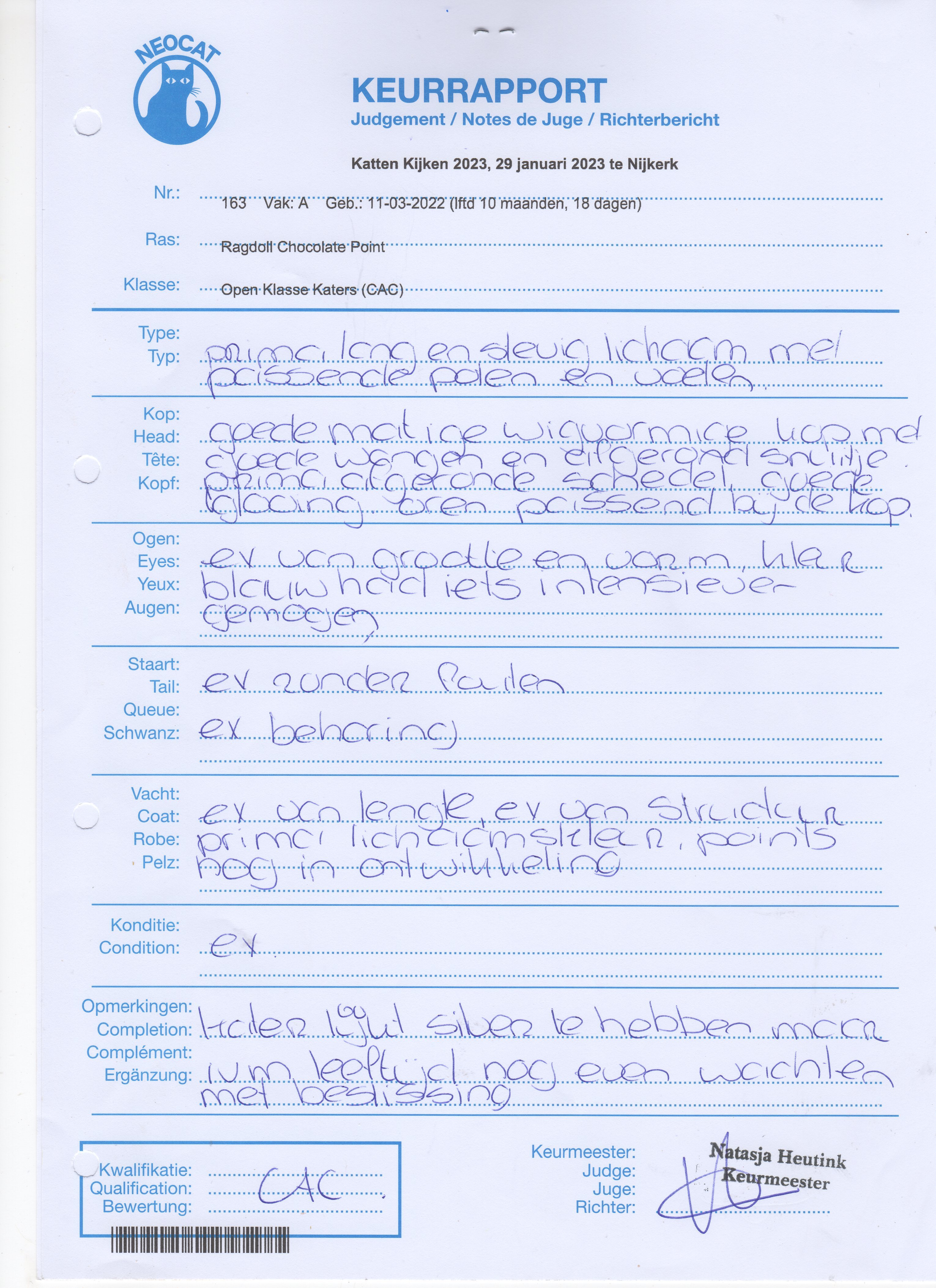 CAC_Keurrapport_King_Billie_29_01_23_Nijkerk.jpg