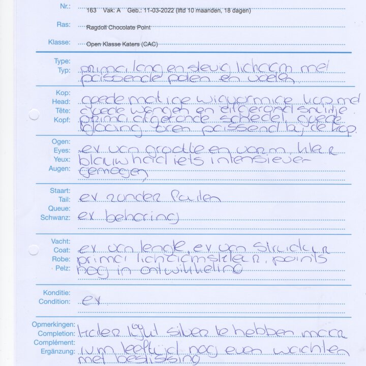 CAC_Keurrapport_King_Billie_29_01_23_Nijkerk.jpg